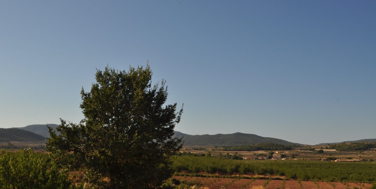 Resale - Country House -
Pinoso - Pinoso - Town