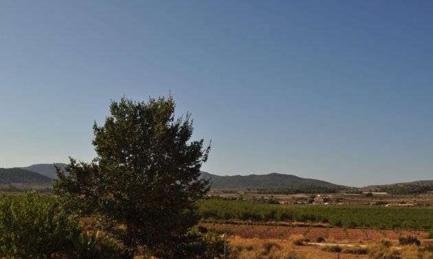 Resale - Country House -
Pinoso - Pinoso - Town