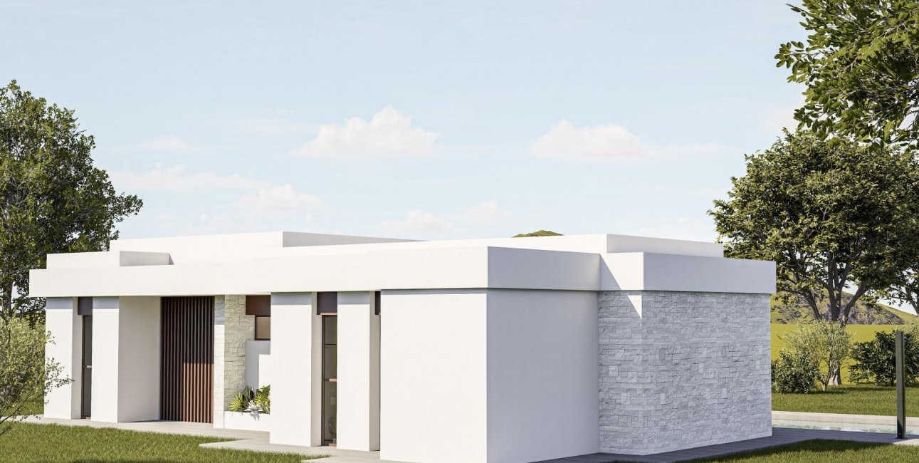 Obra nueva - Villa -
Pinoso - Lel