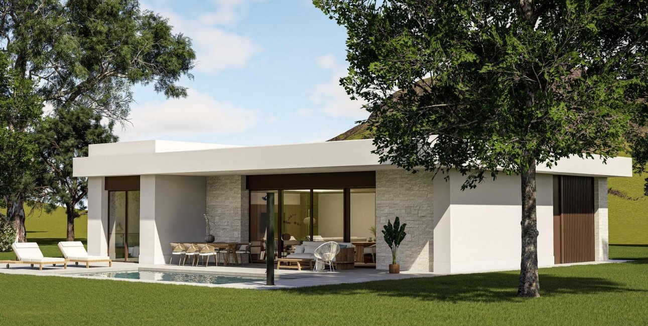 Obra nueva - Villa -
Pinoso - Lel