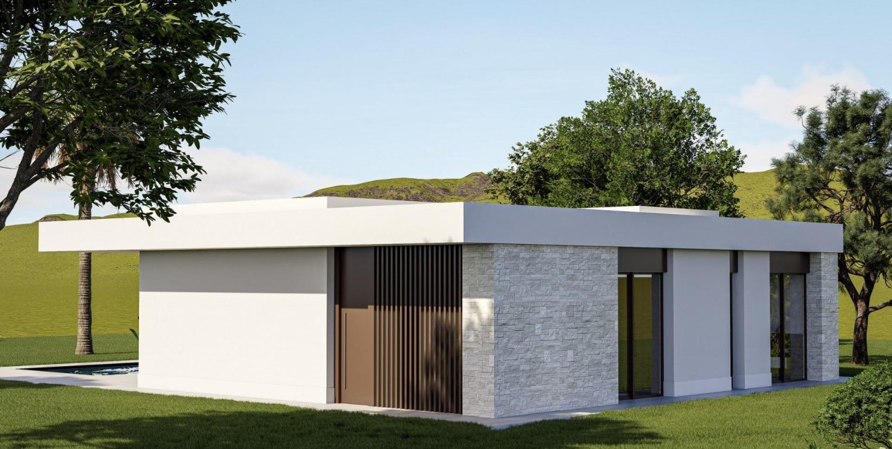 Obra nueva - Villa -
Pinoso - Lel