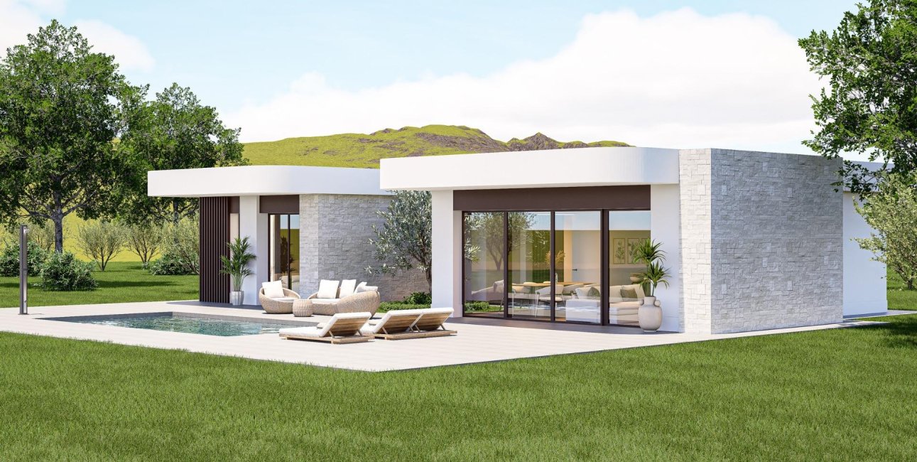 Obra nueva - Villa -
Pinoso - Lel