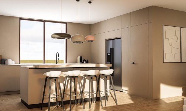 Obra nueva - Villa -
Pinoso - Lel