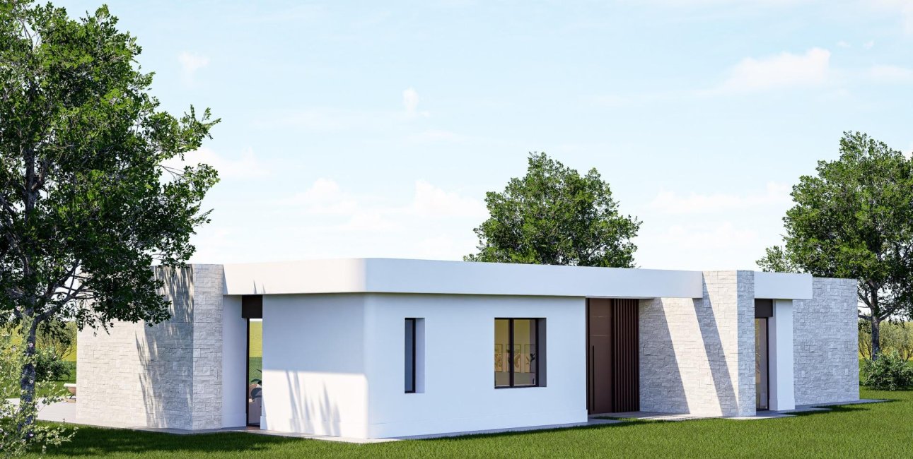 Obra nueva - Villa -
Pinoso - Lel