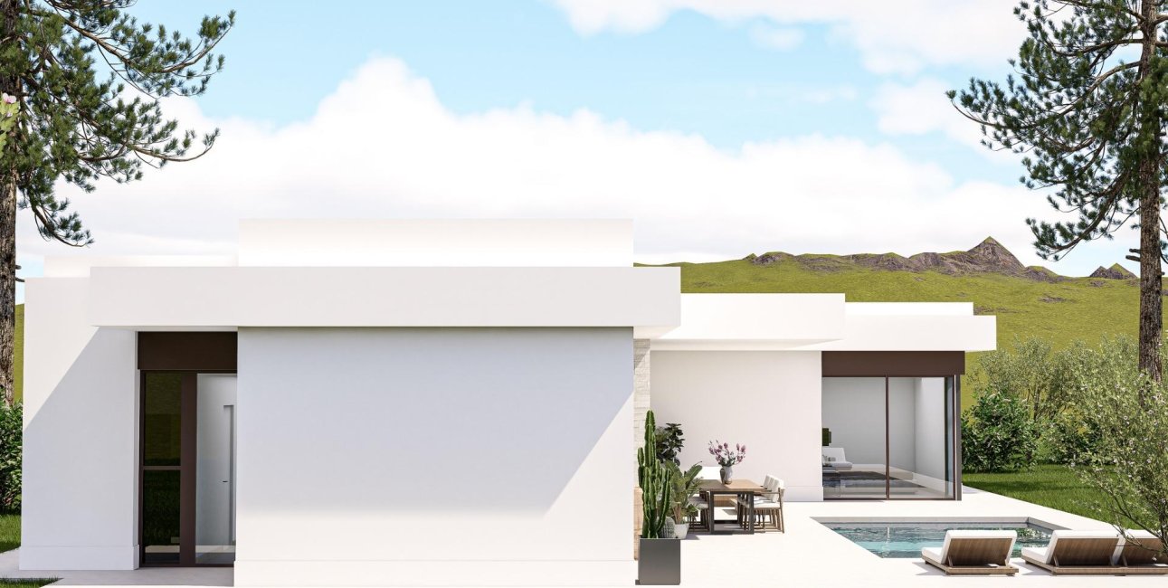 Obra nueva - Villa -
Pinoso - Lel