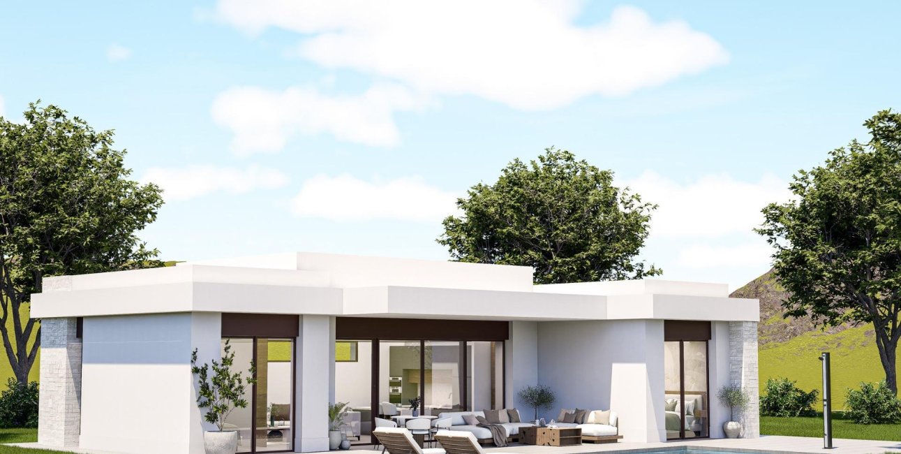 Obra nueva - Villa -
Pinoso - Lel