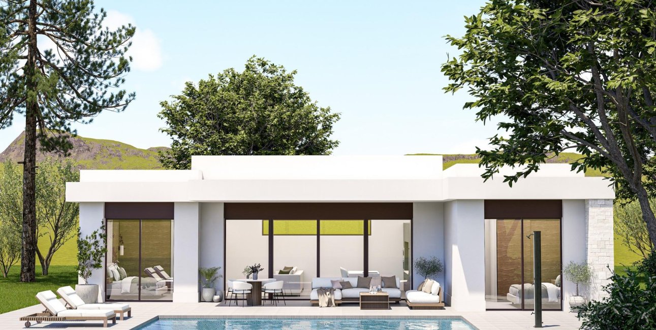 Obra nueva - Villa -
Pinoso - Lel