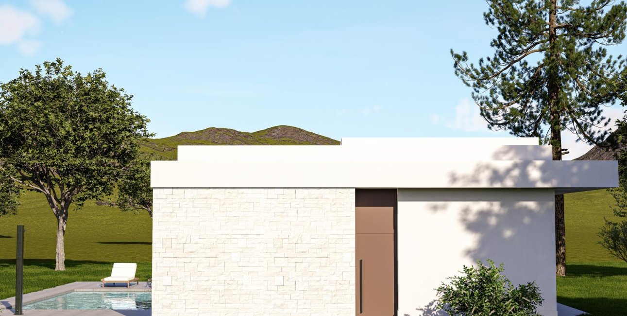 Obra nueva - Villa -
Pinoso - Lel