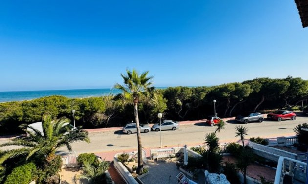 Reventa - Duplex -
Guardamar del Segura - Los secanos