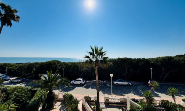 Reventa - Duplex -
Guardamar del Segura - Los secanos