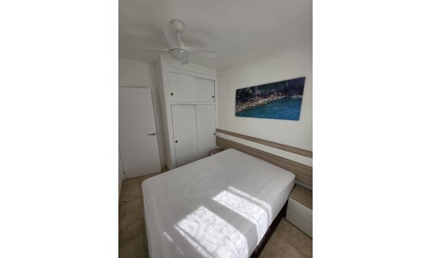 Rynek wtórny - Mieszkanie  -
Torrevieja - Playa