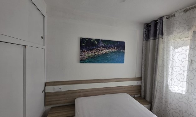 Rynek wtórny - Mieszkanie  -
Torrevieja - Playa