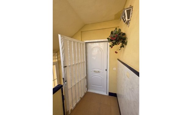 Rynek wtórny - Mieszkanie  -
Torrevieja - Playa