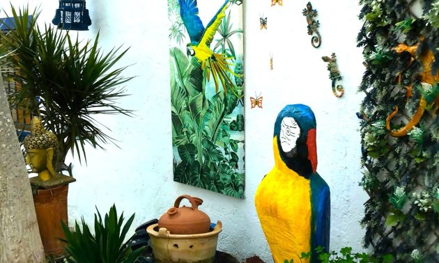 Rynek wtórny - Dom  -
Daya Nueva - Daya Nueva - Country