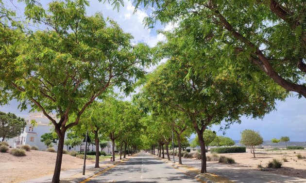 Resale - Apartment / flat -
Hacienda Riquelme Golf Resort - Hacienda Riquelme Golf Resort - Centre