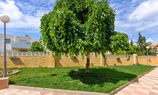 Rynek wtórny - Mieszkanie  -
Torrevieja - El Chaparral