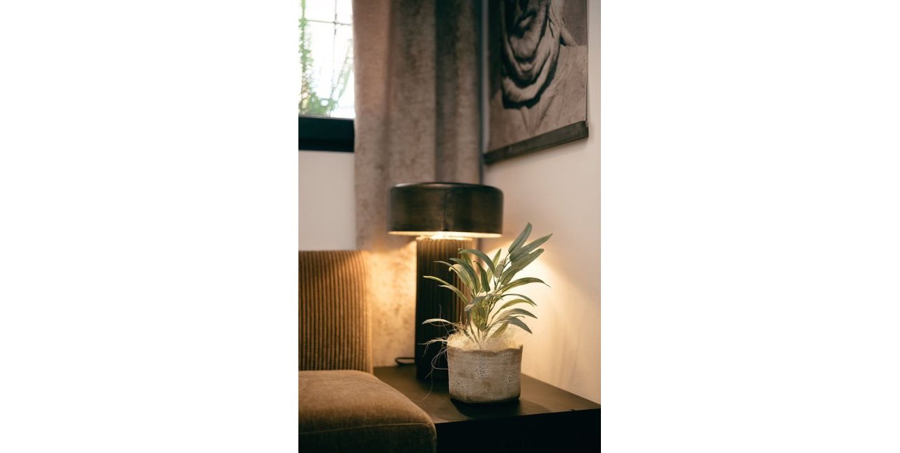 Rynek wtórny - Mieszkanie  -
Torrevieja - Torrevieja - Centre