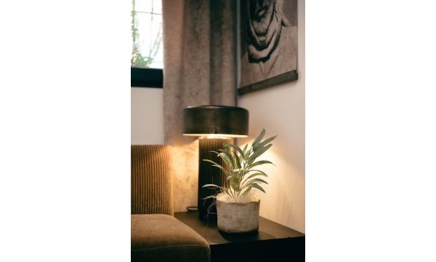 Rynek wtórny - Mieszkanie  -
Torrevieja - Torrevieja - Centre