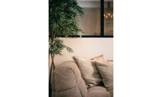 Rynek wtórny - Mieszkanie  -
Torrevieja - Torrevieja - Centre