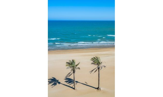 Rynek wtórny - Mieszkanie  -
Guardamar del Segura - Guardamar del Segura - Town