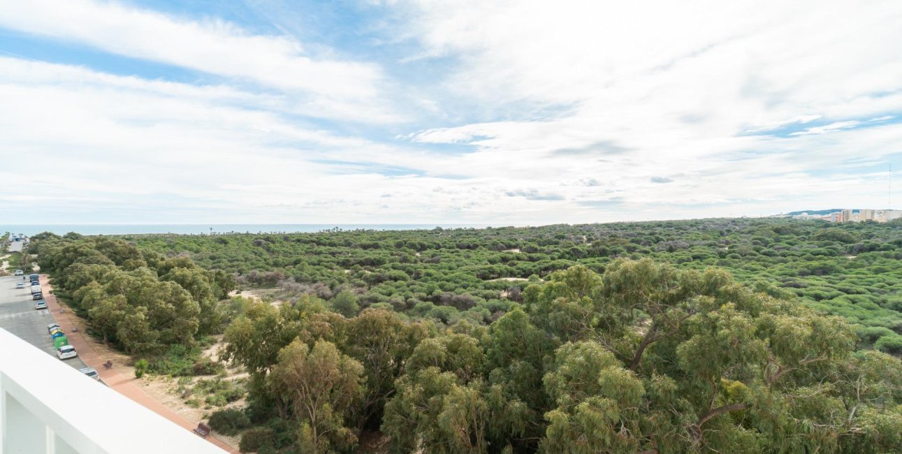 Resale - Apartment / flat -
Guardamar del Segura - Puerto Deportivo