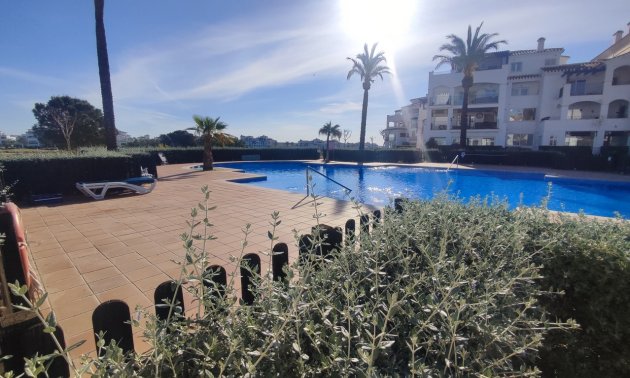 Rynek wtórny - Mieszkanie  -
Hacienda Riquelme Golf Resort - Hacienda Riquelme Golf Resort - Centre