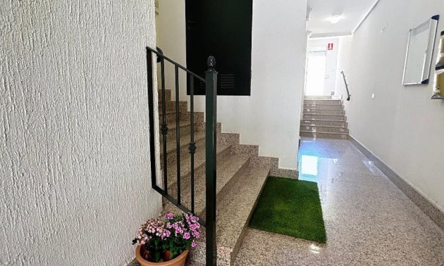Resale - Apartment / flat -
Lo Pagan - Lo Pagan - Town