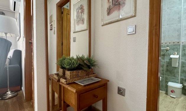 Rynek wtórny - Mieszkanie  -
Torrevieja - Playa Los Naufragos