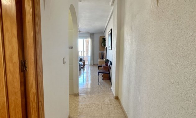 Rynek wtórny - Mieszkanie  -
Torrevieja - Torrevieja - Centre