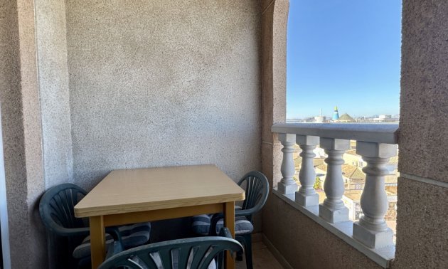 Rynek wtórny - Mieszkanie  -
Torrevieja - Torrevieja - Centre