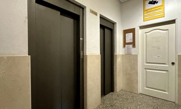 Rynek wtórny - Mieszkanie  -
Torrevieja - Torrevieja - Centre