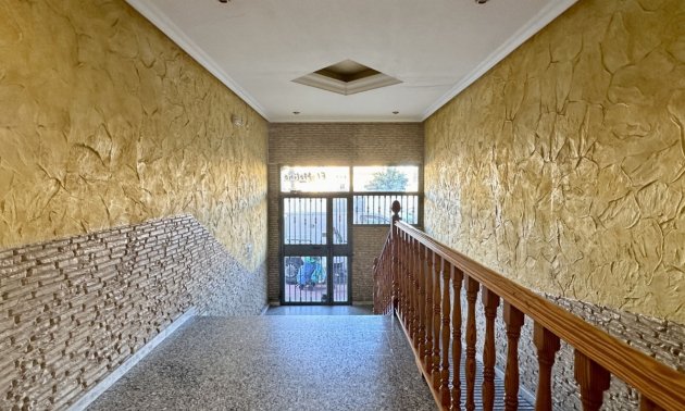 Rynek wtórny - Mieszkanie  -
Torrevieja - Torrevieja - Centre