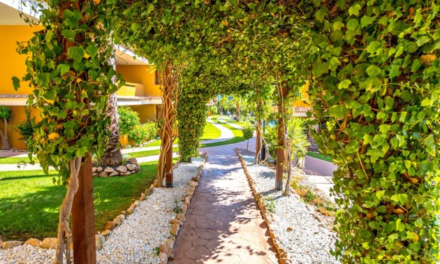 Rynek wtórny - Mieszkanie  -
Orihuela Costa - Punta Prima