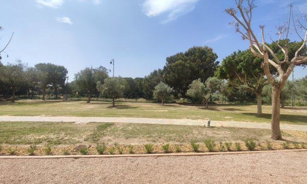 Rynek wtórny - Mieszkanie  -
Hacienda Riquelme Golf Resort - Hacienda Riquelme Golf Resort - Centre