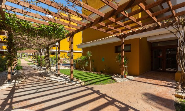 Rynek wtórny - Mieszkanie  -
Torrevieja - Punta prima