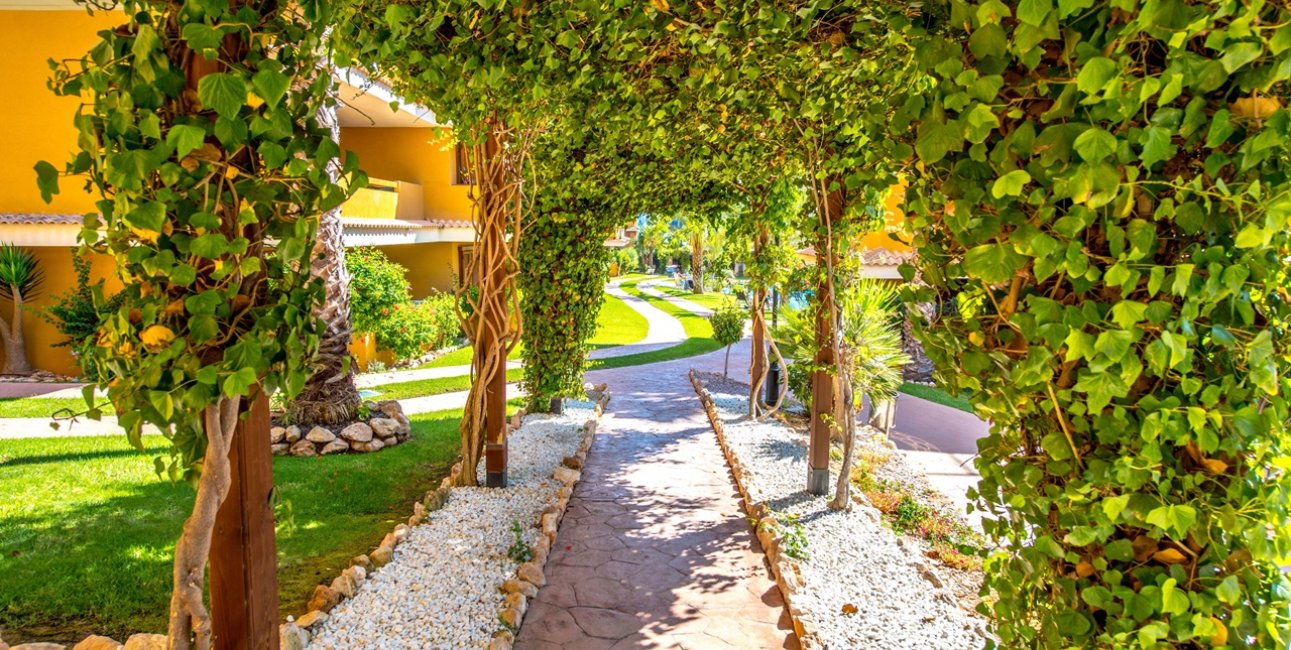 Rynek wtórny - Mieszkanie  -
Torrevieja - Punta prima