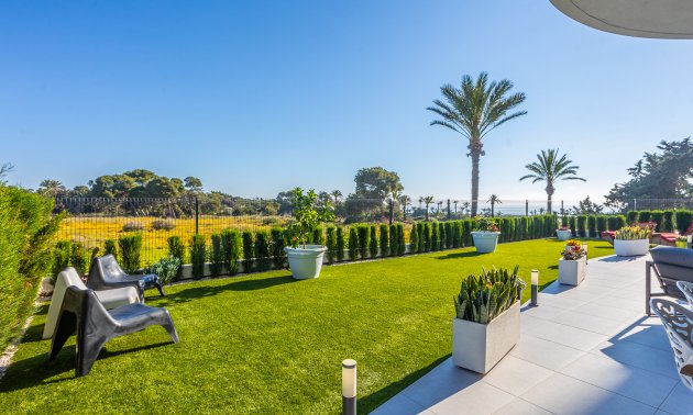 Rynek wtórny - Mieszkanie  -
Torrevieja - Punta prima