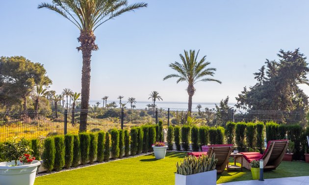 Rynek wtórny - Mieszkanie  -
Torrevieja - Punta prima