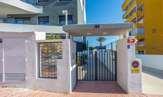 Rynek wtórny - Mieszkanie  -
Torrevieja - Punta prima