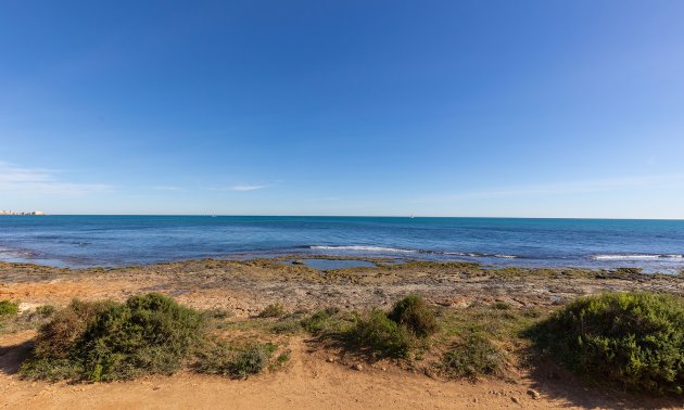 Rynek wtórny - Mieszkanie  -
Torrevieja - Punta prima