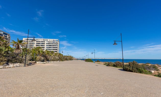 Rynek wtórny - Mieszkanie  -
Torrevieja - Punta prima