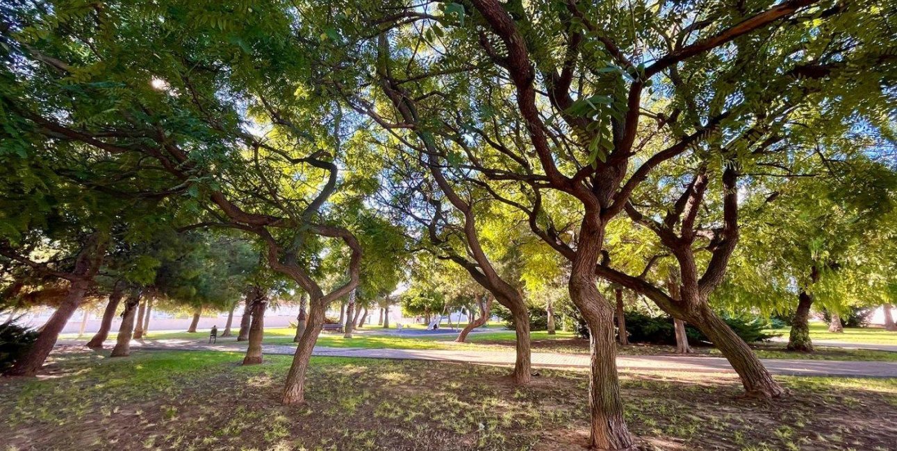 Rynek wtórny - Dom Szeregowy -
Torrevieja - Calas Blancas