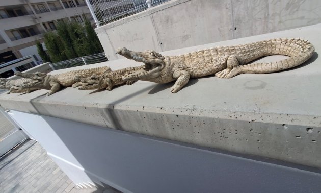 Rynek wtórny - Willa -
Orihuela - Entre Naranjos Vistabella Golf