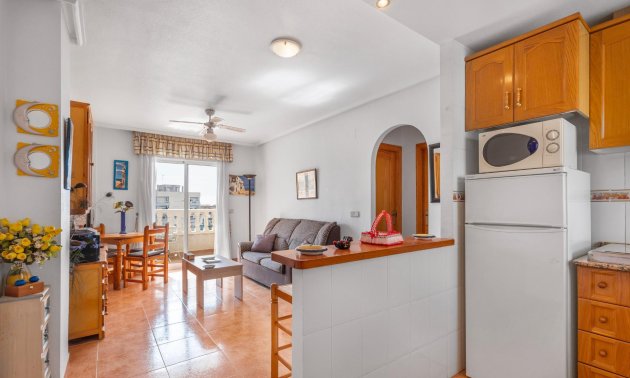 Rynek wtórny - Mieszkanie  -
Torrevieja - Nueva Torrevieja