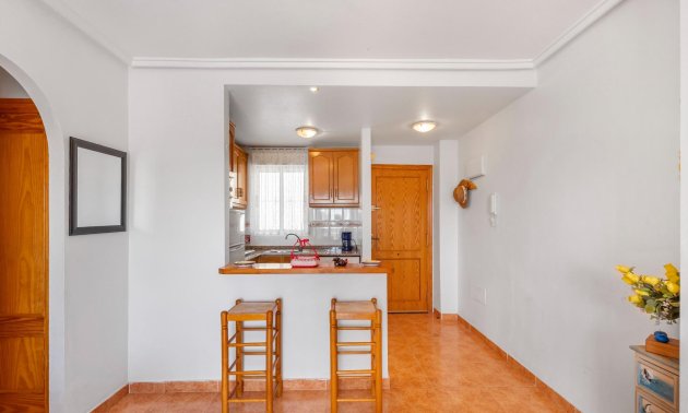 Rynek wtórny - Mieszkanie  -
Torrevieja - Nueva Torrevieja