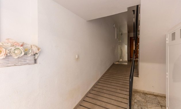 Rynek wtórny - Mieszkanie  -
Torrevieja - Nueva Torrevieja