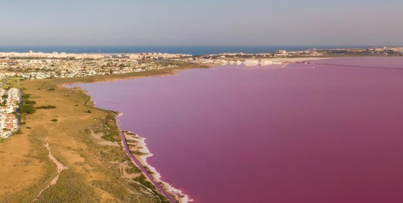 Resale - Villa -
Torrevieja - Aguas Nuevas