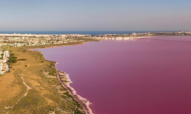 Resale - Villa -
Torrevieja - Aguas Nuevas