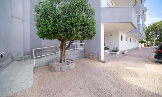 Rynek wtórny - Mieszkanie  -
Orihuela Costa - Cabo Roig