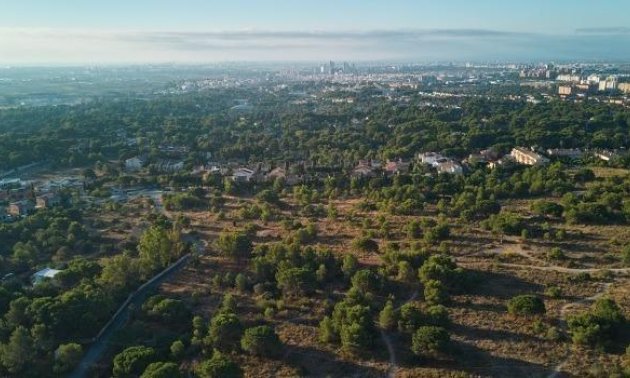 Rynek pierwotny - Mieszkanie  -
Godella - Campolivar